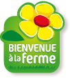 Logo 2