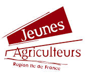 Logo 4